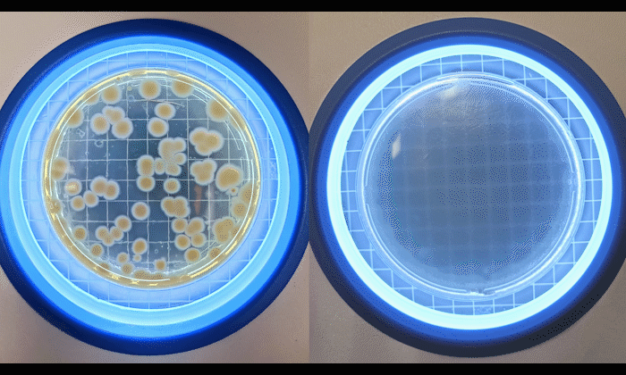 Washable air purifier filter